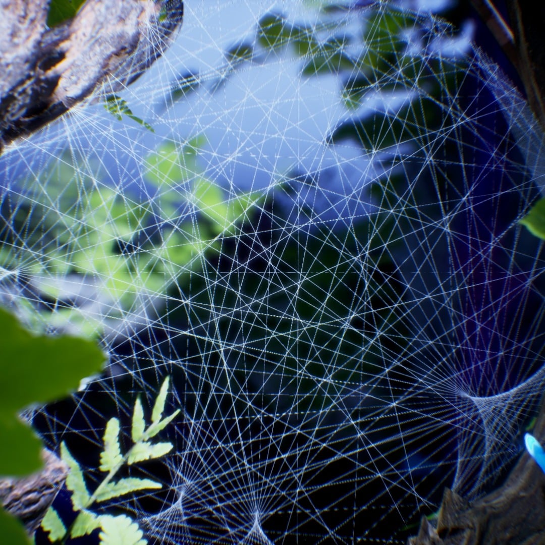 The net