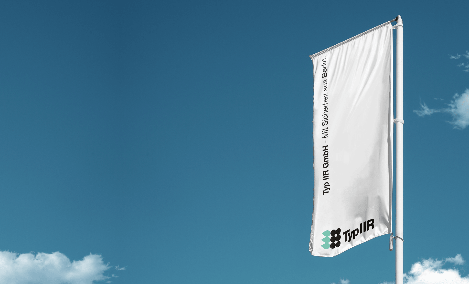 TypIIR Flags
