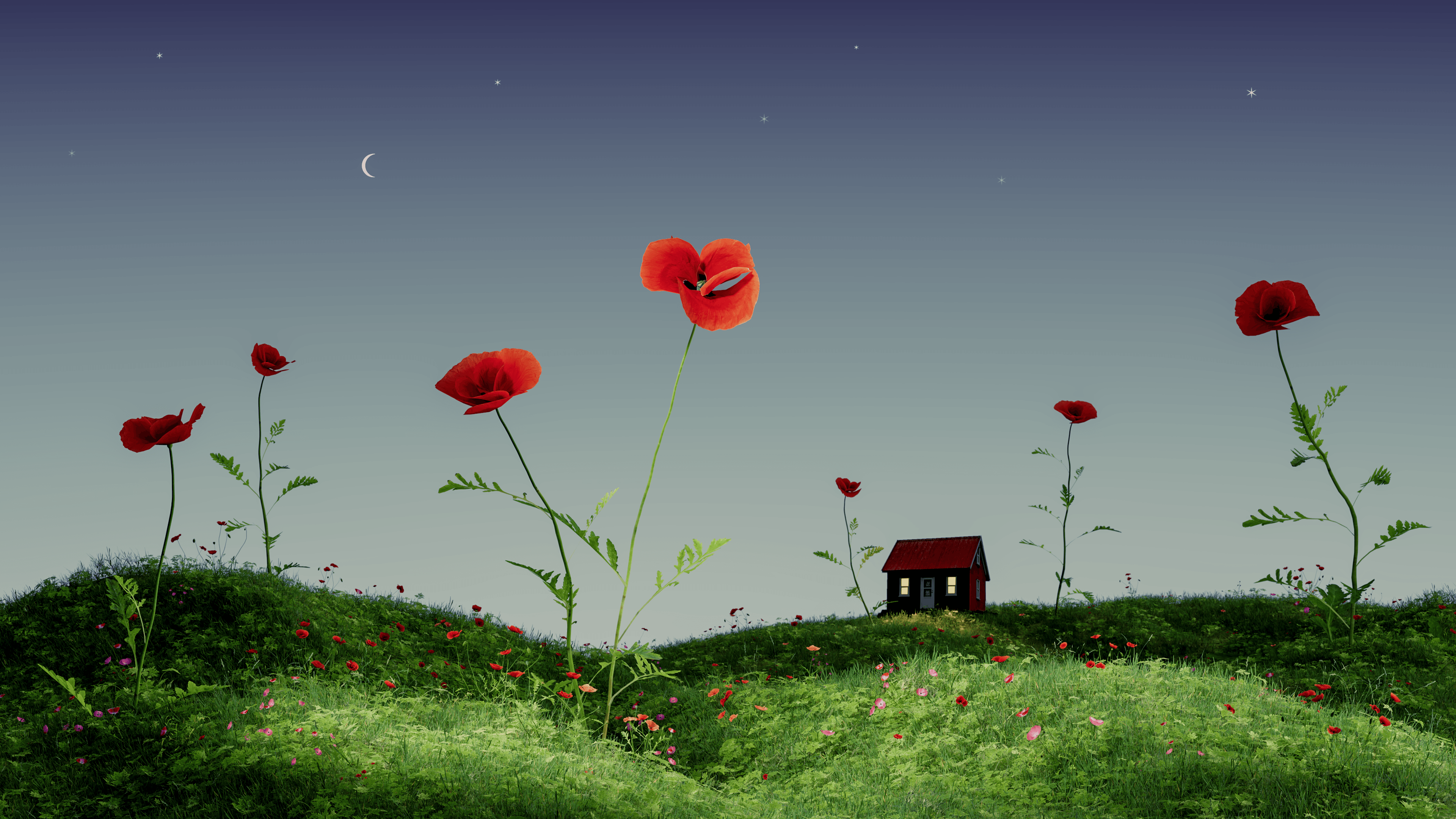 Tiny Houses: Summer